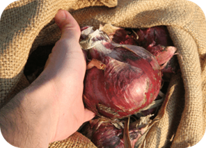 Agricultural Products