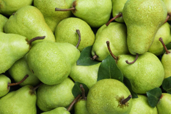 Agricultural Products