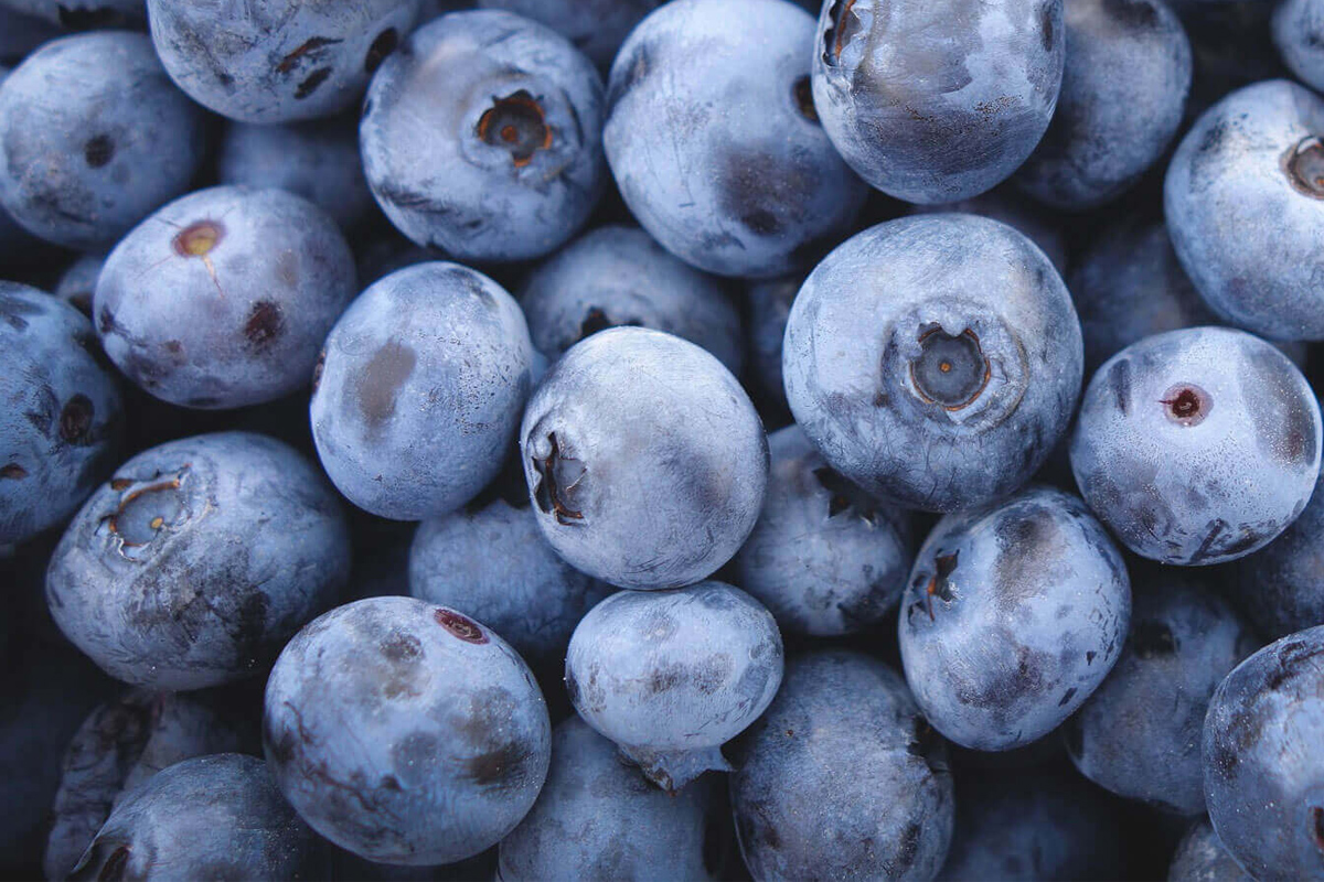 Blueberry