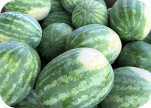 Agricultural Products